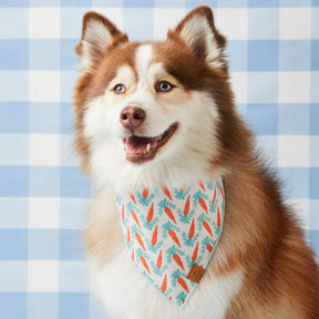 Foggy Dog - Bandana Dog Rifle Paper Co. x TFD Easter Reversible
