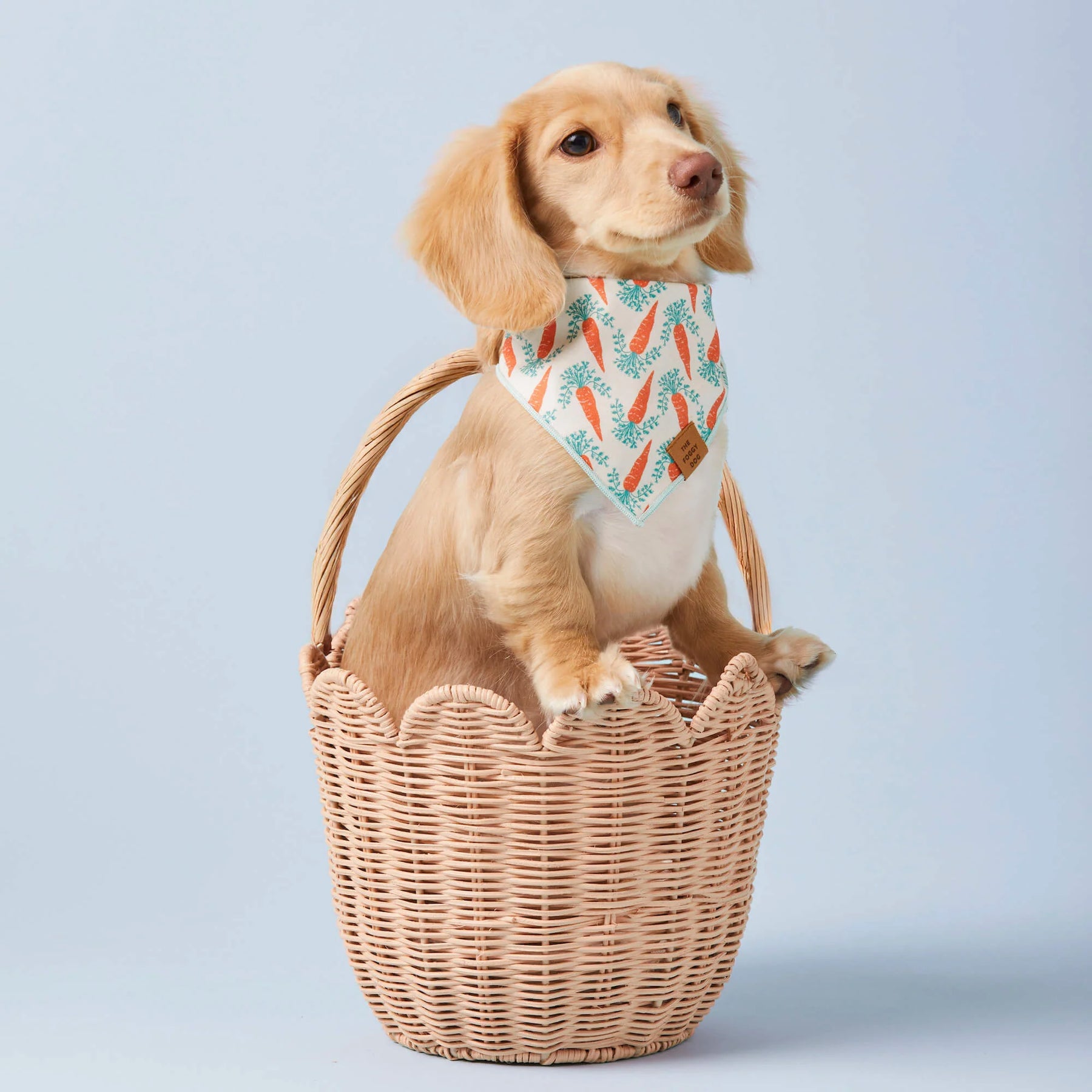 Foggy Dog - Bandana Dog Rifle Paper Co. x TFD Easter Reversible