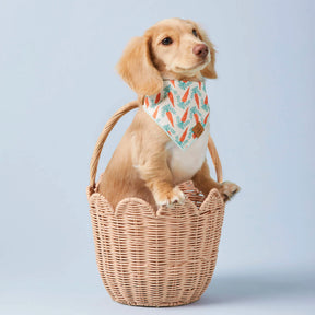 Foggy Dog - Bandana Dog Rifle Paper Co. x TFD Easter Reversible