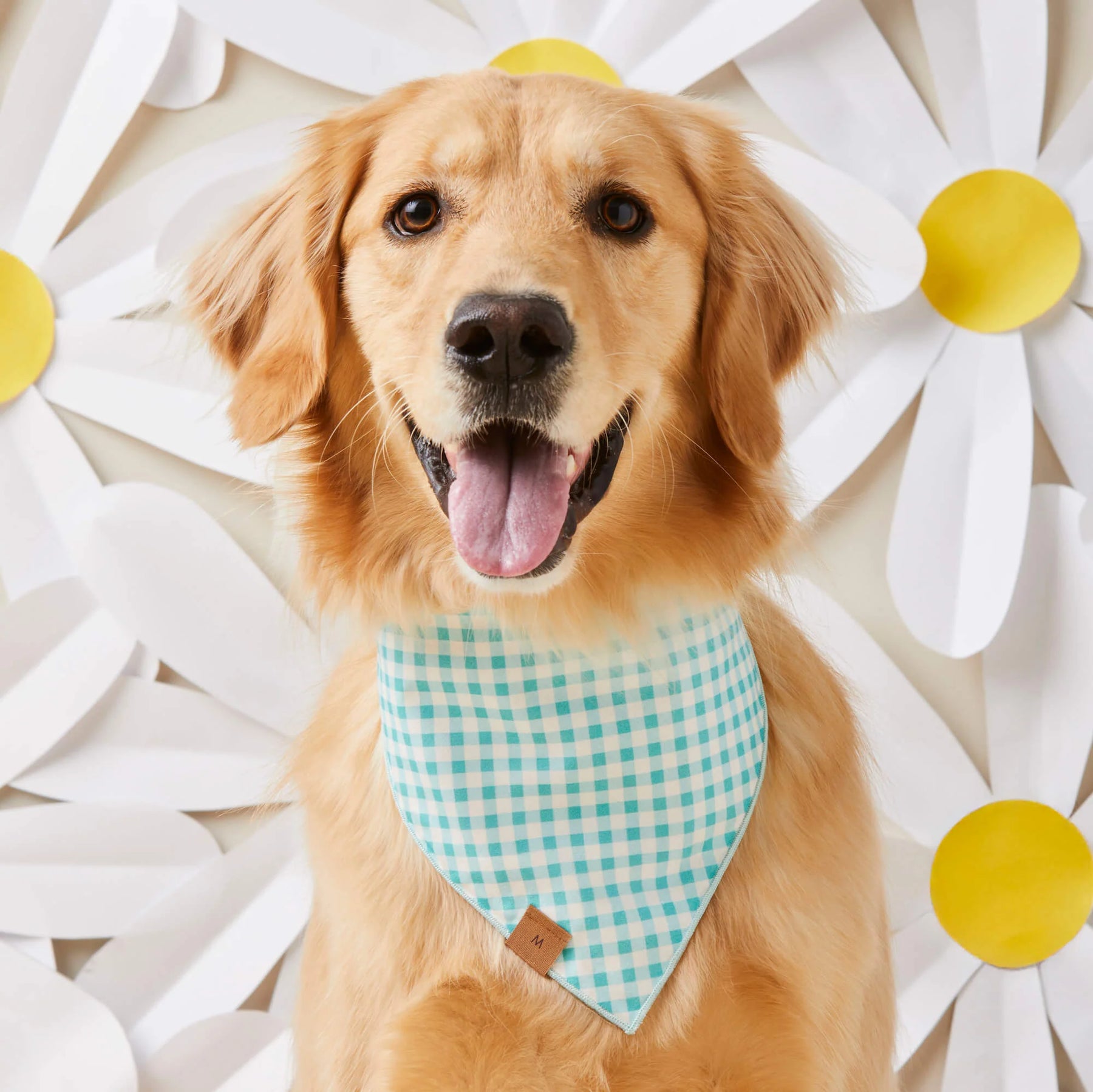 Foggy Dog - Bandana Dog Rifle Paper Co. x TFD Easter Reversible