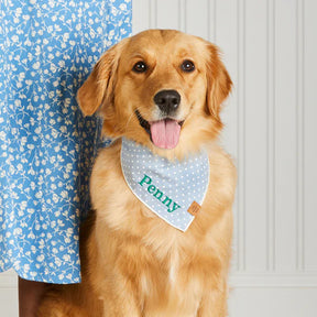 The Foggy Dog - Bandana Dog Chambray Dots - Southern Agriculture 