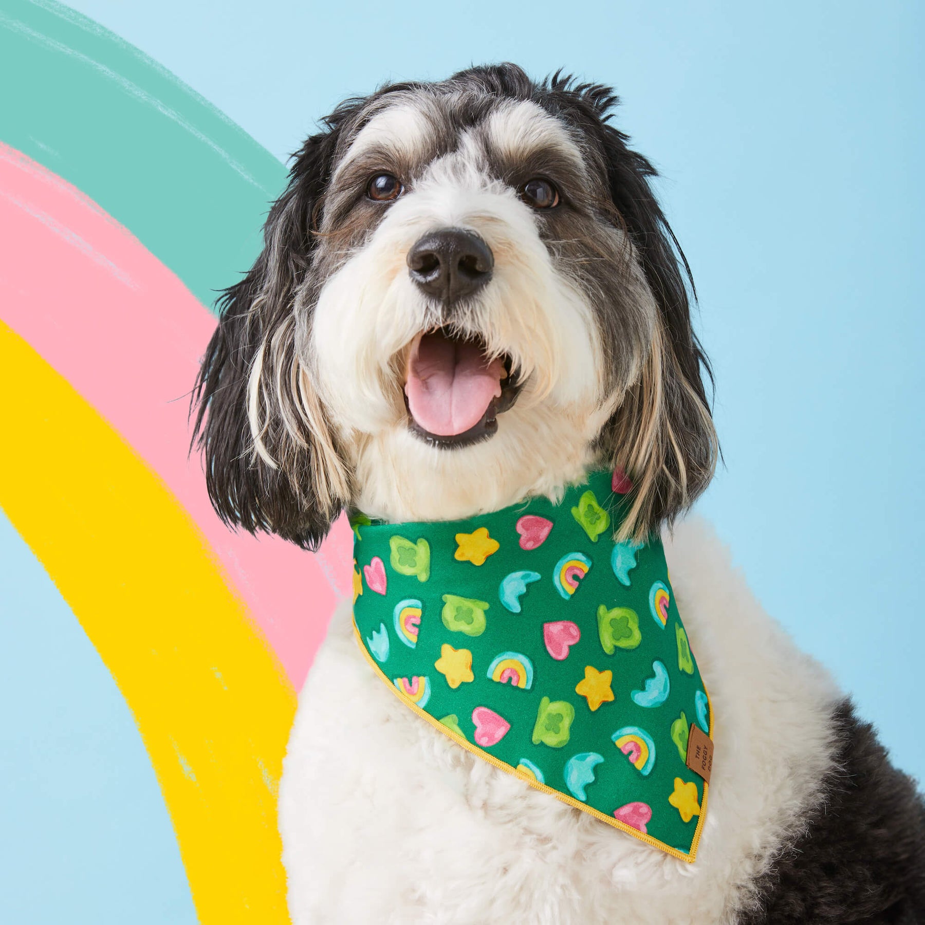 The Foggy Dog - Bandana Dog Charmed