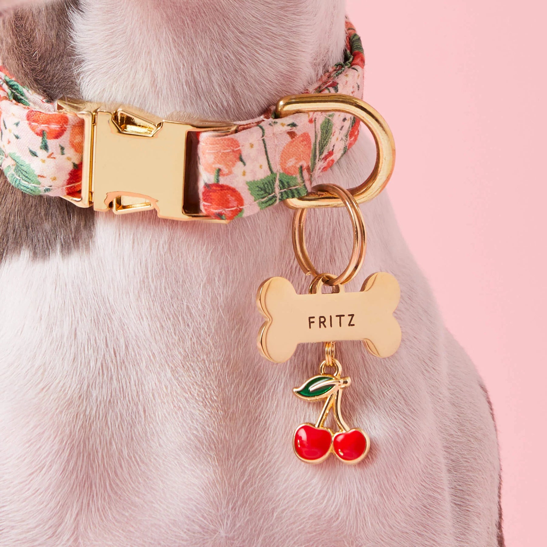 The Foggy Dog - Dog Charm Two Sided For Collar Cherries
