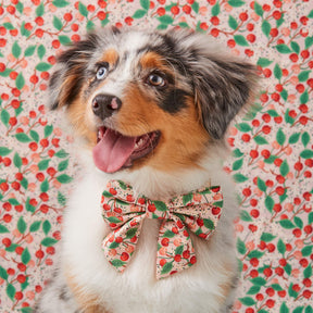The Foggy Dog - Lady Dog Bow Rifle Paper Co. X TFD Cherry Blossom