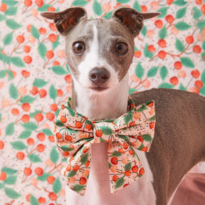 The Foggy Dog - Lady Dog Bow Rifle Paper Co. X TFD Cherry Blossom