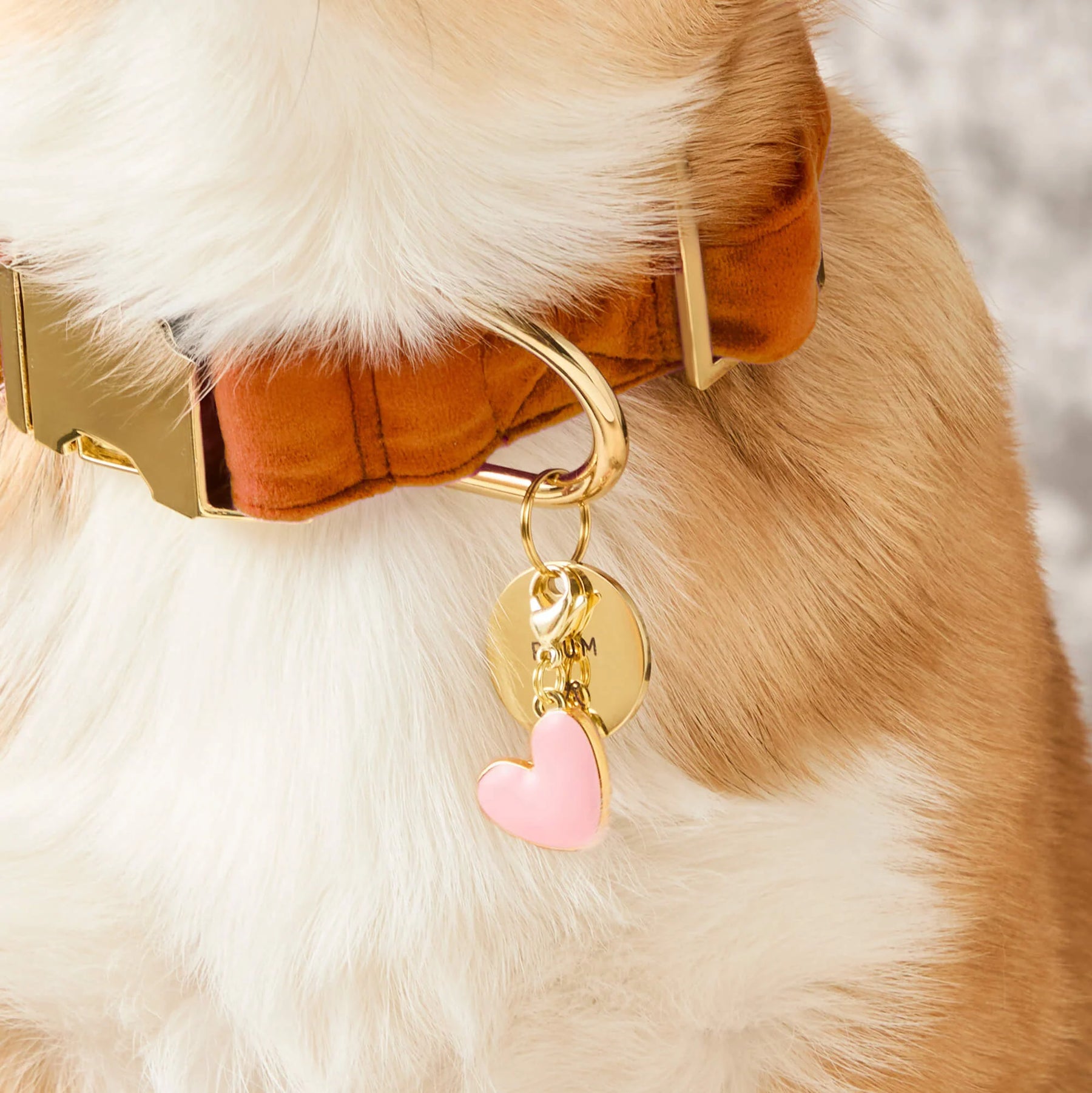 Foggy Dog - Dog Charm for Collar Colored - Southern Agriculture 