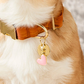 Foggy Dog - Dog Charm for Collar Colored - Southern Agriculture 