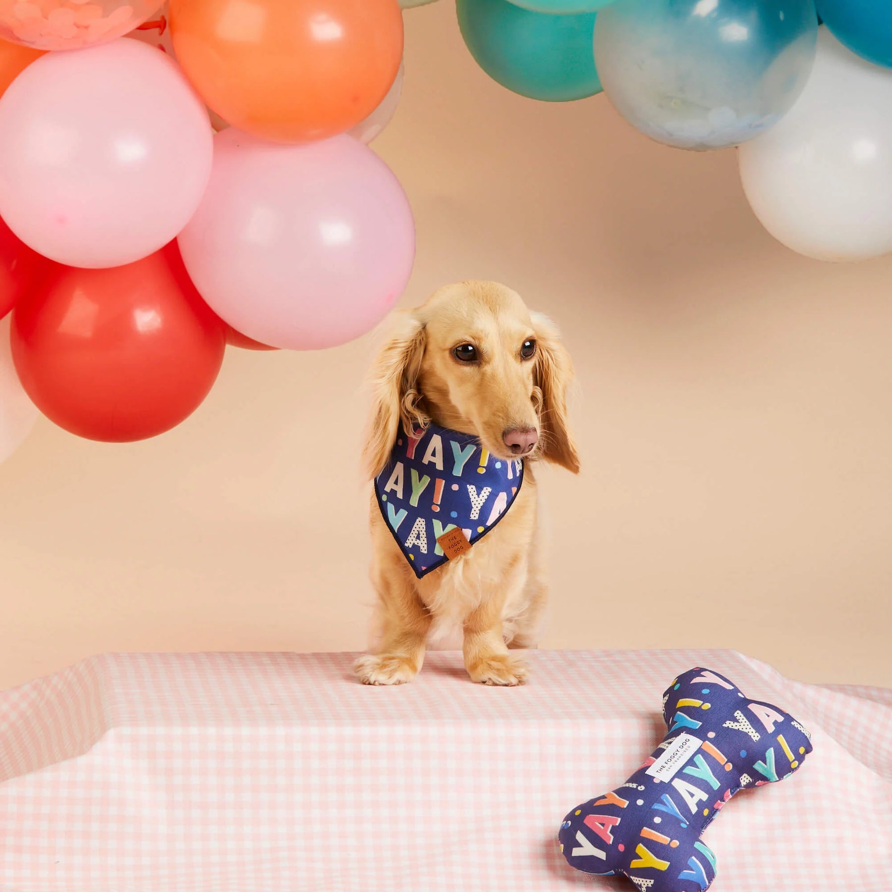The Foggy Dog - Bandana Dog Birthday Yay