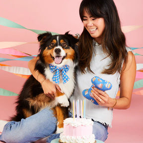 The Foggy Dog - Dog Toy Dog Bone Squeaky Birthday Make A Wish