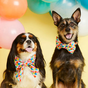The Foggy Dog - Dog Bow Tie Pup, Pup, & Away