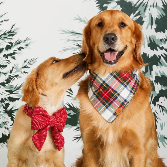 The Foggy Dog - Dog Bow Berry Stitch Flannel