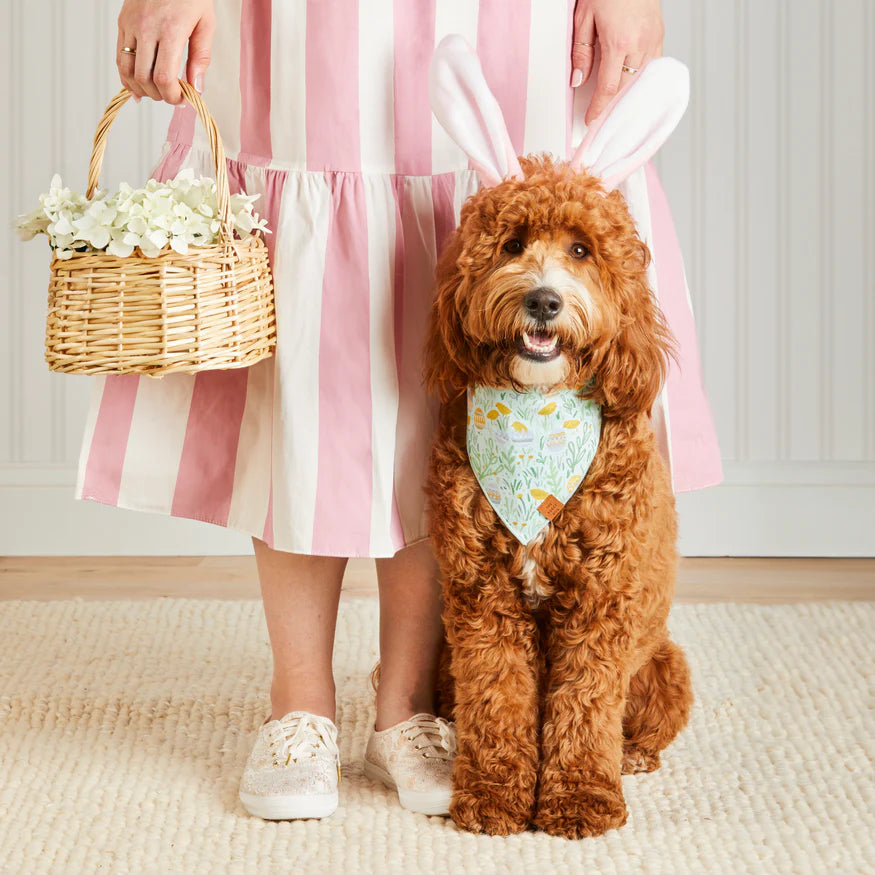 The Foggy Dog - Bandana Dog Easter Egg Hunt