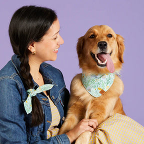 The Foggy Dog - Bandana Dog Easter Egg Hunt