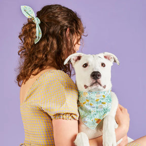 The Foggy Dog - Bandana Dog Easter Egg Hunt
