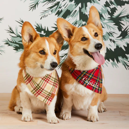 The Foggy Dog - Bandana Tartan Plaid Flannel