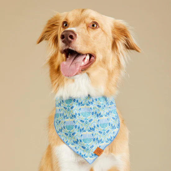 The Foggy Dog - Bandana Flora Menorah Hanukkah