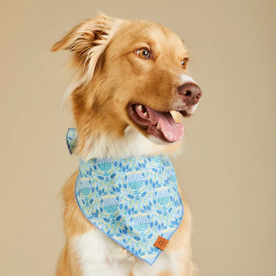 The Foggy Dog - Bandana Flora Menorah Hanukkah