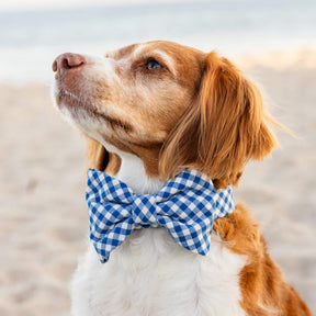 The Foggy Dog - Dog Bow Tie Lake Blue Gingham