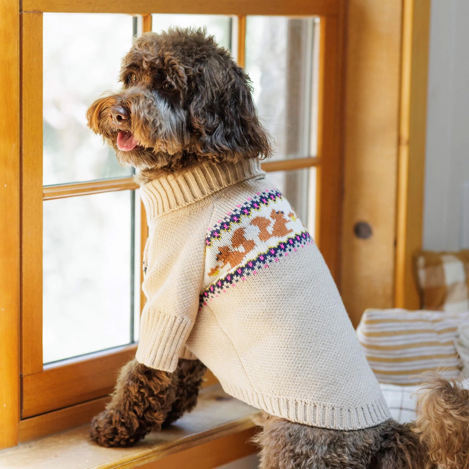 The Foggy Dog - Dog Sweater Squirrel Cable Knit