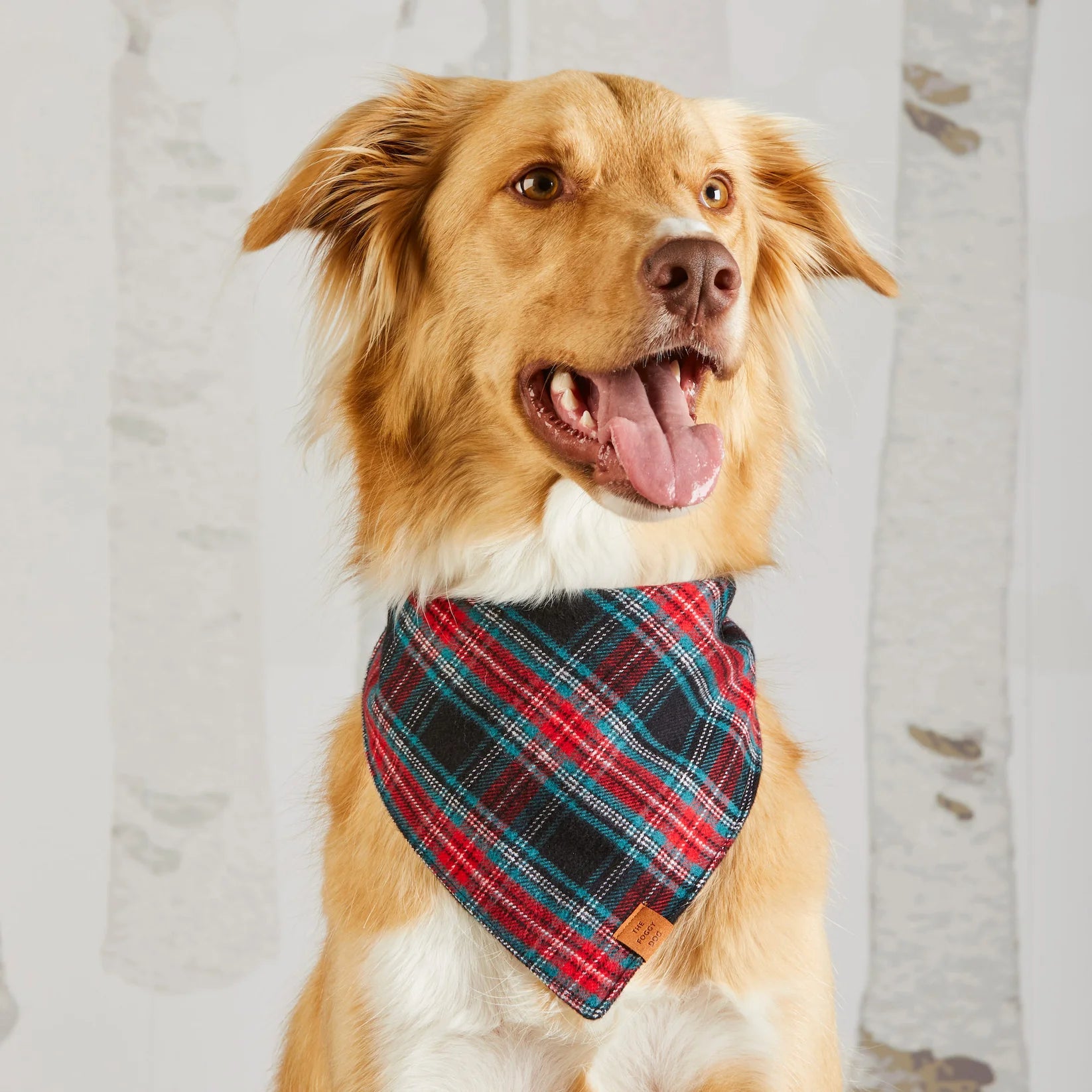 The Foggy Dog - Bandana Dog Draper James xTFD Georgia Plaid
