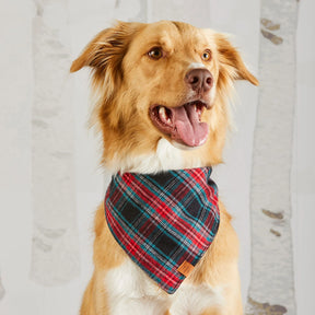 The Foggy Dog - Bandana Dog Draper James xTFD Georgia Plaid