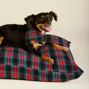 The Foggy Dog - Bandana Dog Draper James xTFD Georgia Plaid