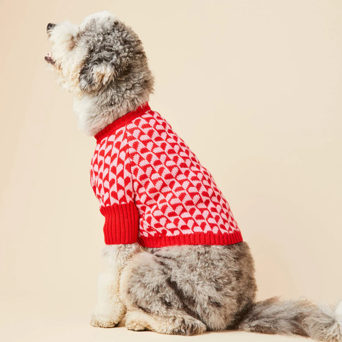 The Foggy Dog - Dog Sweater Heart Stripe