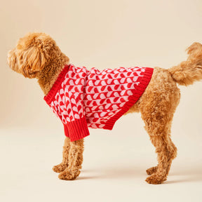 The Foggy Dog - Dog Sweater Heart Stripe