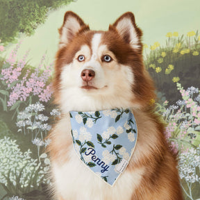 Foggy Dog - Bandana Dog Rifle Paper Co. x TFD Vintage Blossom