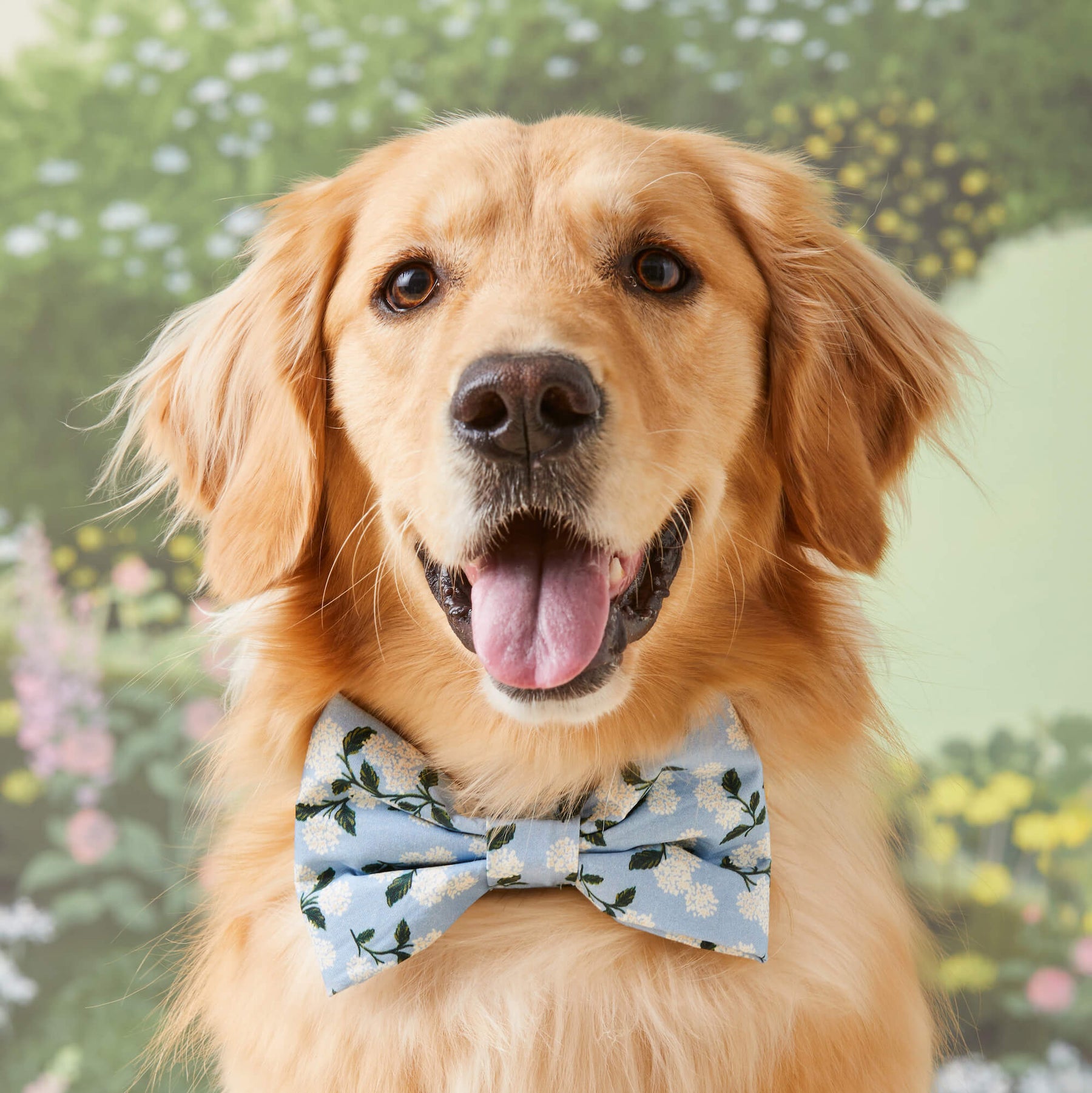 The Foggy Dog - Dog Bow Tie Rifle Paper Co. X TFD Hydrangea