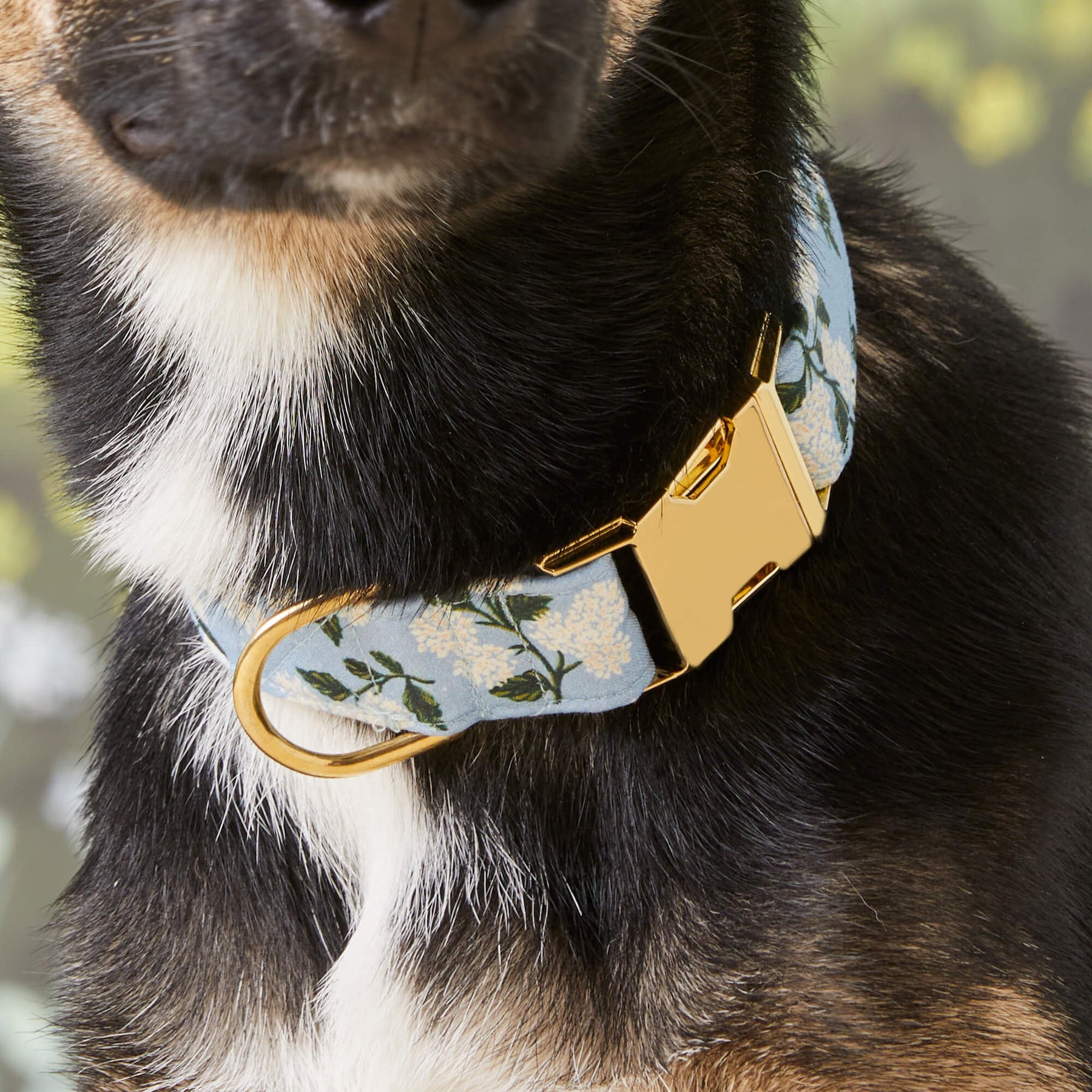 The Foggy Dog - Dog Collar Rifle Paper Co. X TFD Hydrangea Spring