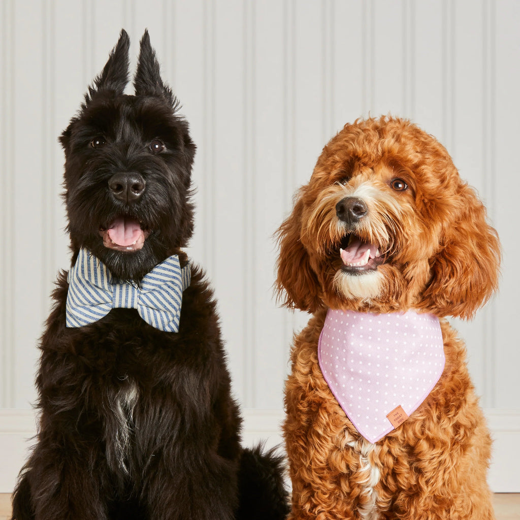 Foggy Dog - Dog Bow Tie Lake Blue Stripe