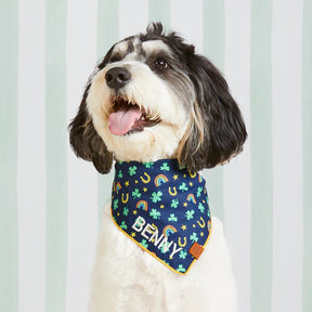 The Foggy Dog - Bandana Dog Lucky Pup - Southern Agriculture 