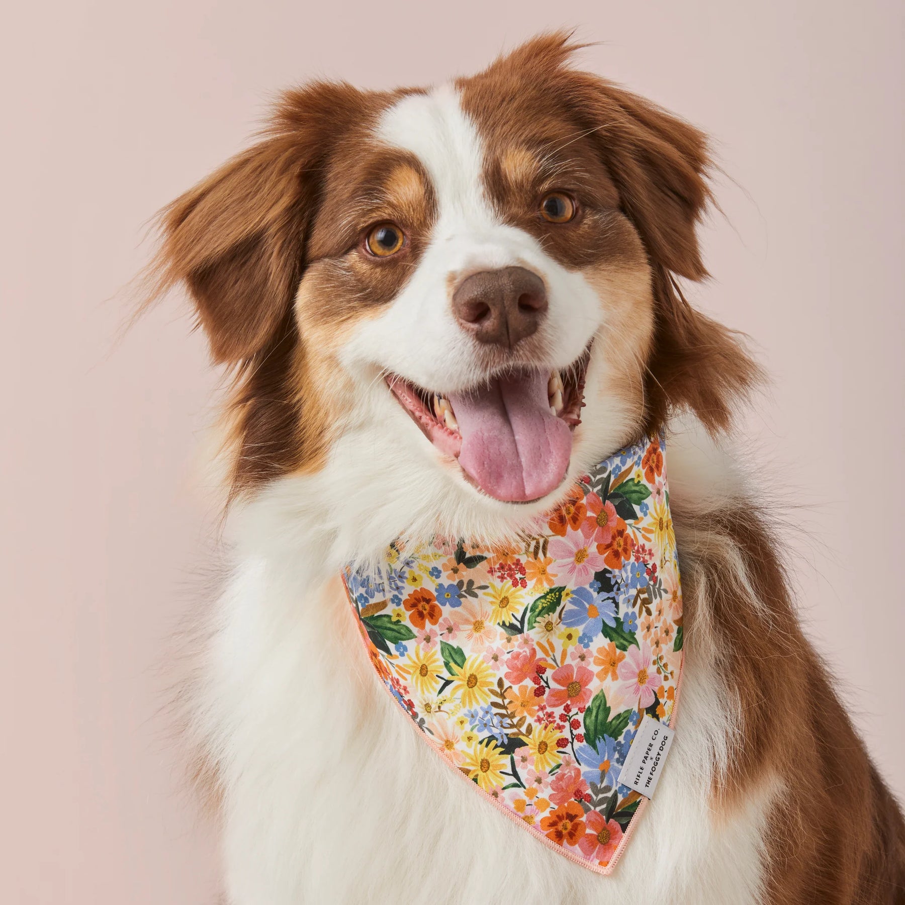 The Foggy Dog - Bandana Dog Marguerite Spring