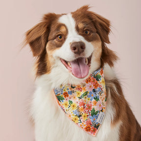 The Foggy Dog - Bandana Dog Marguerite Spring