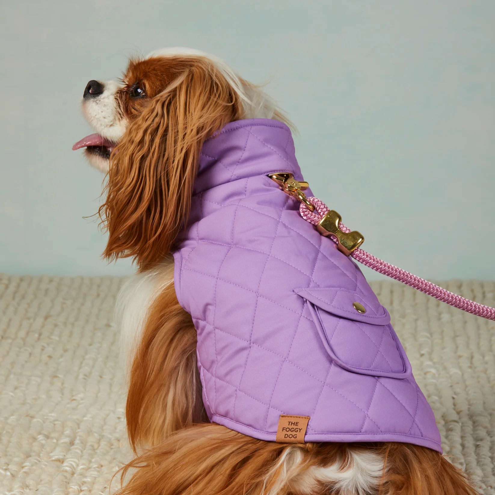 The Foggy Dog - Dog Jacket Mini Meadow Reversible