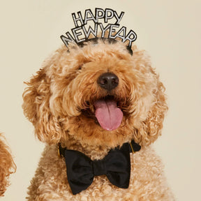 The Foggy Dog - Dog Bow Tie Velvet