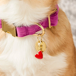 Foggy Dog - Dog Charm for Collar Colored - Southern Agriculture 