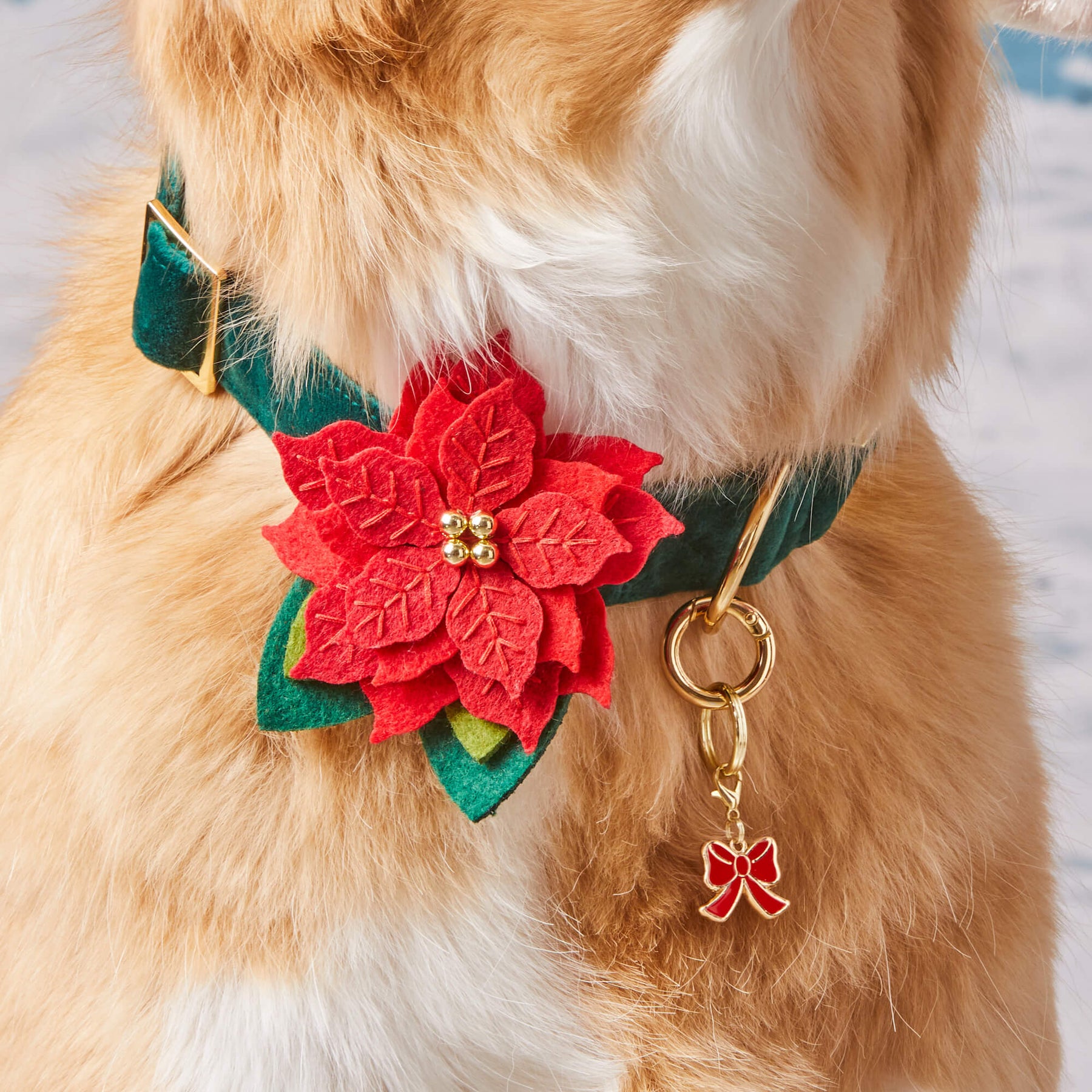 Foggy Dog - Poinsettia Flower For Dog Collar