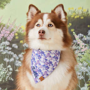 The Foggy Dog - Bandana Dog Pressed Pansies