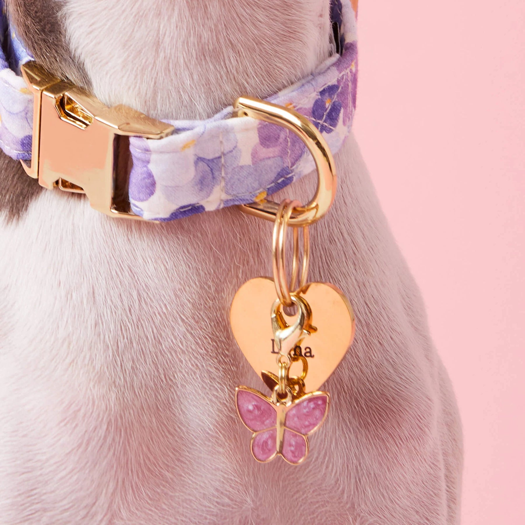 The Foggy Dog - Collar Charm Butterfly