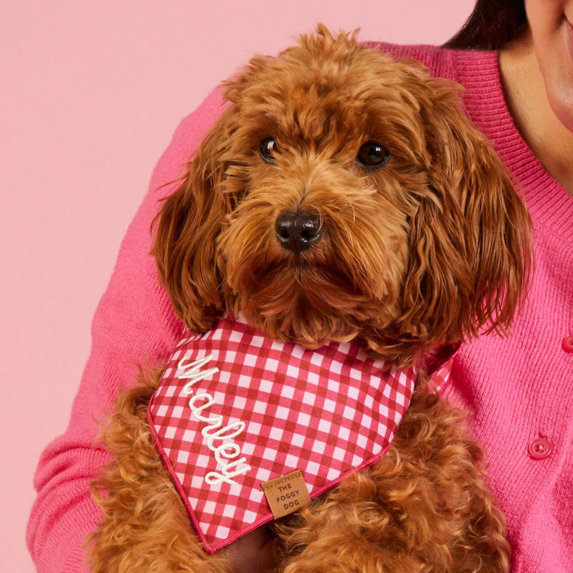 The Foggy Dog - Bandana Raspberry Gingham