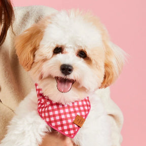 The Foggy Dog - Bandana Raspberry Gingham