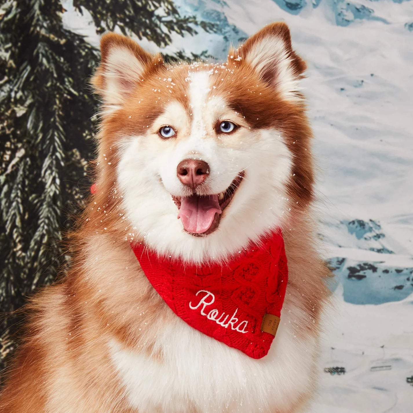 The Foggy Dog - Dog Bandana Cable Knit