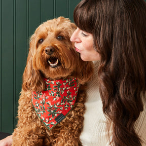 The Foggy Dog - Dog Bandana Rifle Co x TFD Mistletoe