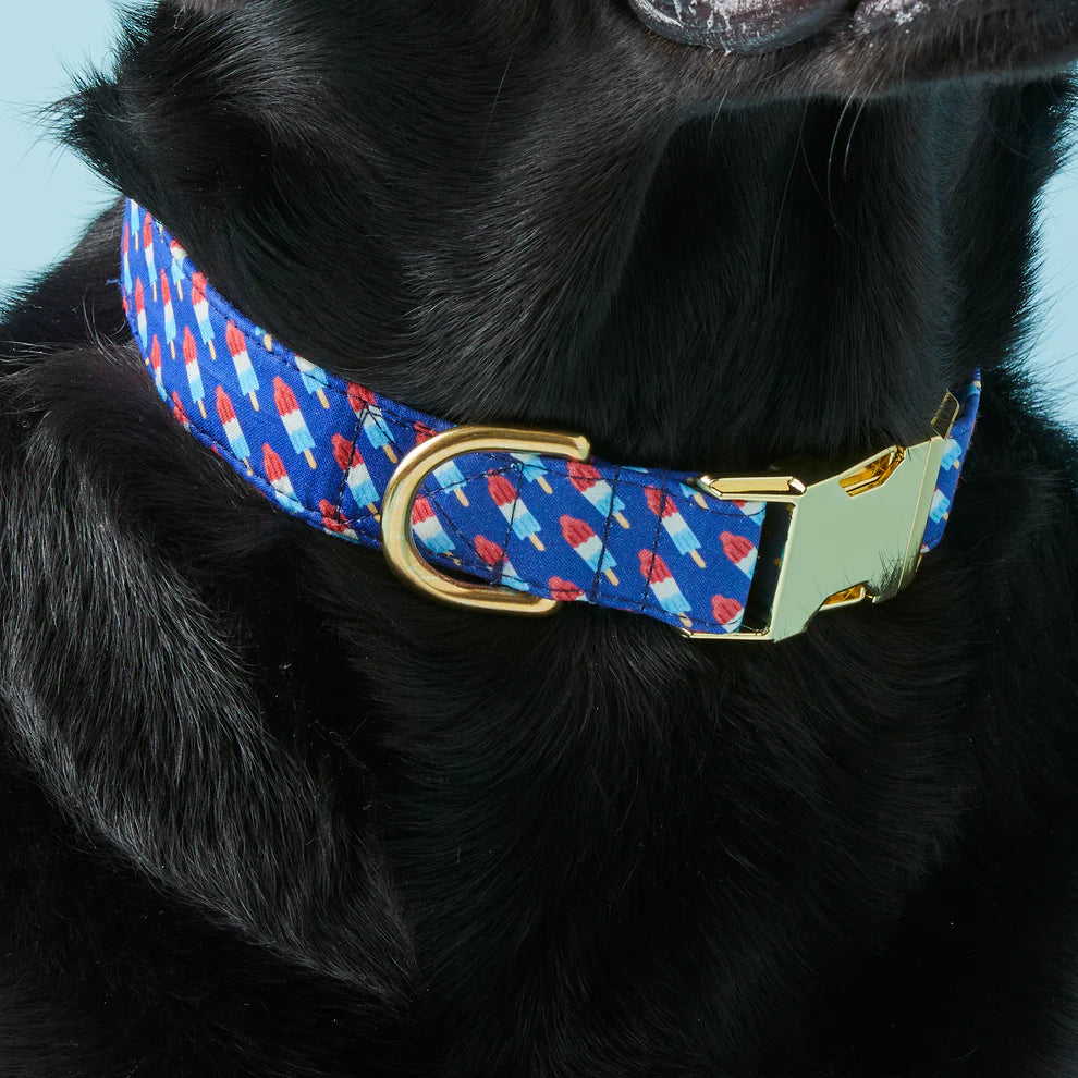 The Foggy Dog - Dog Collar Rocket Pop