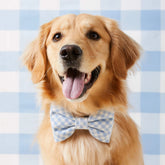 The Foggy Dog - Dog Bow Tie Sky Blue Gingham