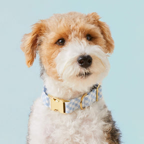 The Foggy Dog - Dog Collar Sky Blue Gingham