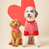 The Foggy Dog - Dog Sweater Heart Stripe