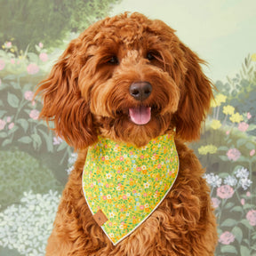 Foggy Dog - Bandana Dog Bunny Garden